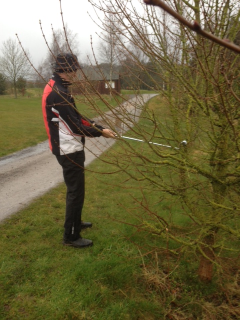 Unplayable Lie in A&nbsp;Tree